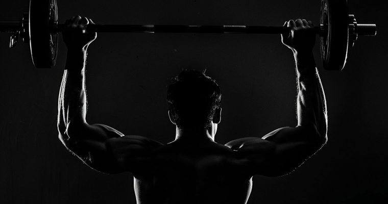 Deer Antler Velvet For Muscle Growth And Bodybuilding